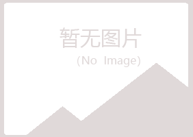 岐山县易烟造纸有限公司